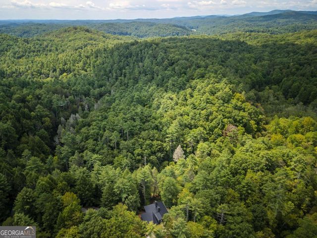 456 Whispering Pine Lane, Cherry Log, GA 30522