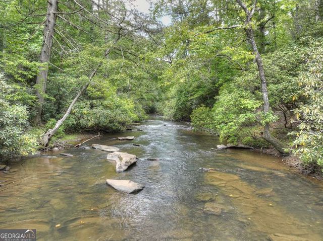 456 Whispering Pine Lane, Cherry Log, GA 30522