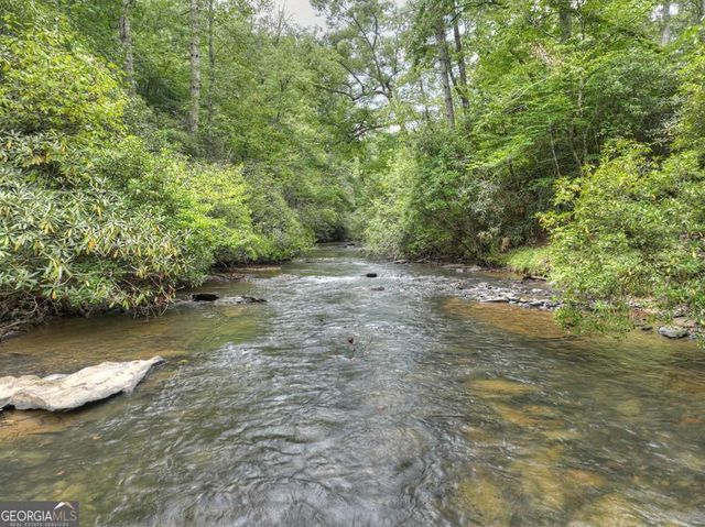 456 Whispering Pine Lane, Cherry Log, GA 30522