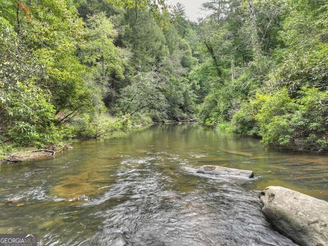 456 Whispering Pine Lane, Cherry Log, GA 30522