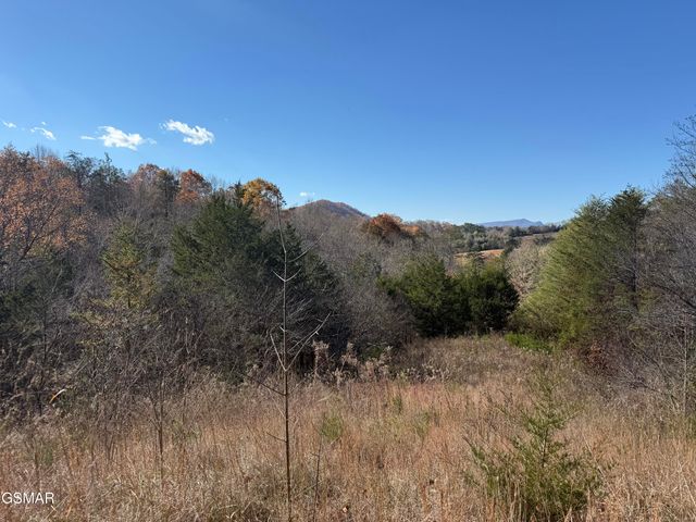 0000 Off Jayell Road, Sevierville, TN 37862