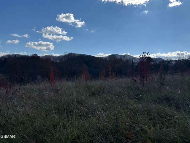 0000 Off Jayell Road, Sevierville, TN 37862