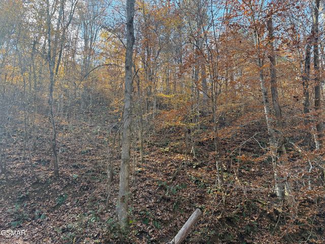 0000 Off Jayell Road, Sevierville, TN 37862