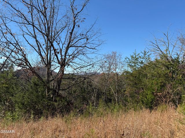 0000 Off Jayell Road, Sevierville, TN 37862