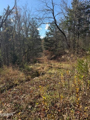0000 Off Jayell Road, Sevierville, TN 37862