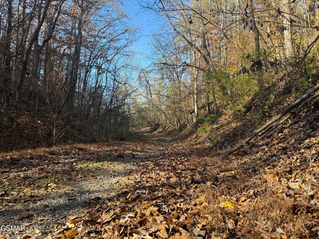 0000 Off Jayell Road, Sevierville, TN 37862