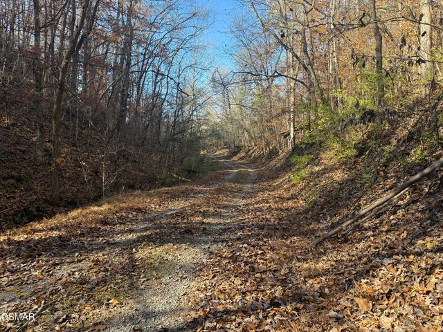 0000 Off Jayell Road, Sevierville, TN 37862