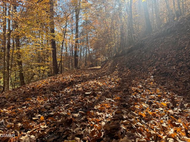 0000 Off Jayell Road, Sevierville, TN 37862