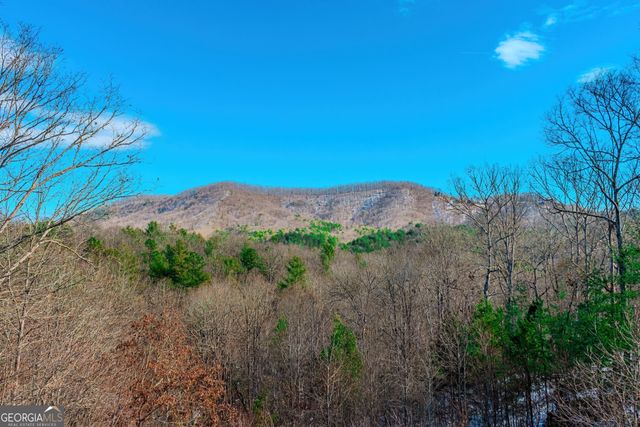 1023 Knollwood Road, Mineral Bluff, GA 30559