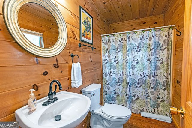 1023 Knollwood Road, Mineral Bluff, GA 30559