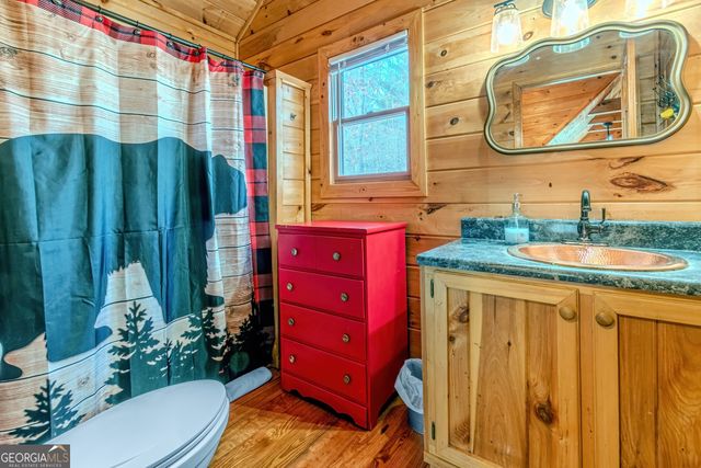 1023 Knollwood Road, Mineral Bluff, GA 30559