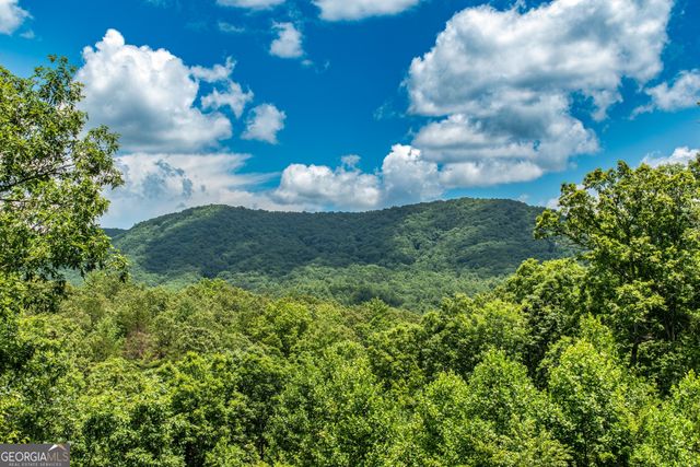 1023 Knollwood Road, Mineral Bluff, GA 30559