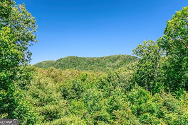 1023 Knollwood Road, Mineral Bluff, GA 30559