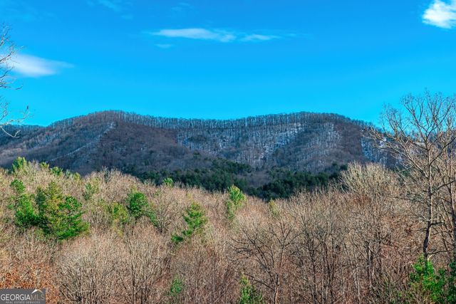 1023 Knollwood Road, Mineral Bluff, GA 30559