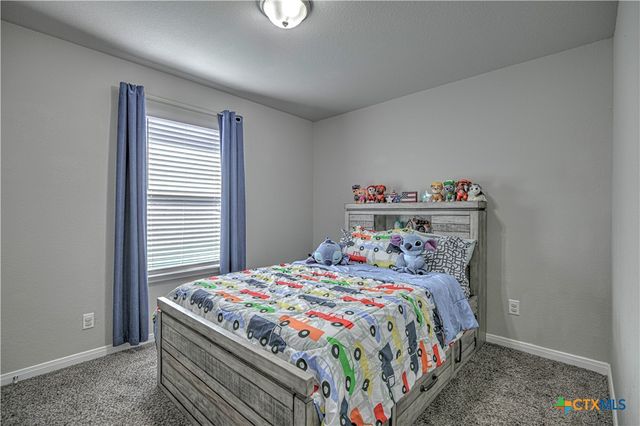 1110 Lilac Ledge Drive, Temple, TX 76502