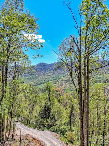 424 Arrington Acres Drive, Waynesville, NC 28786