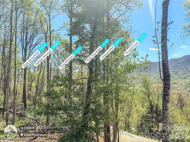 424 Arrington Acres Drive, Waynesville, NC 28786