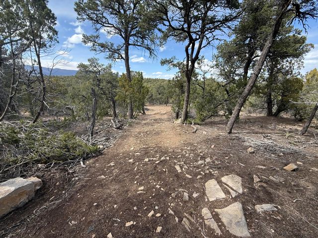 246 FIVE HILLS Drive, Tijeras, NM 87059