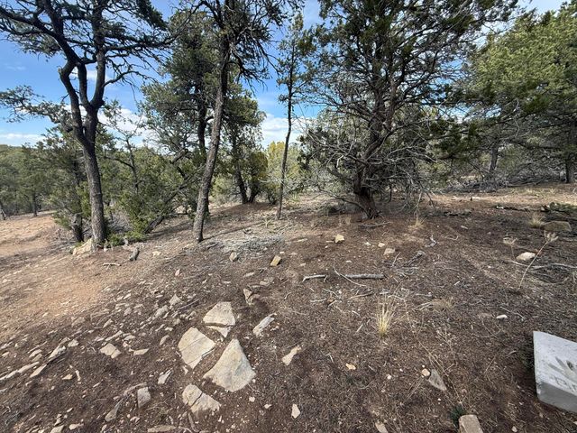 246 FIVE HILLS Drive, Tijeras, NM 87059