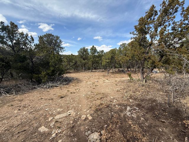 246 FIVE HILLS Drive, Tijeras, NM 87059