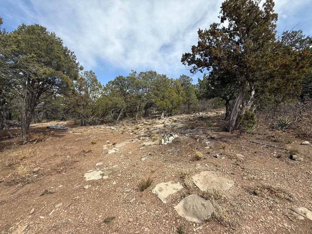 246 FIVE HILLS Drive, Tijeras, NM 87059