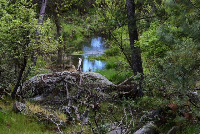 5027 Fox Creek, Mariposa, CA 95338