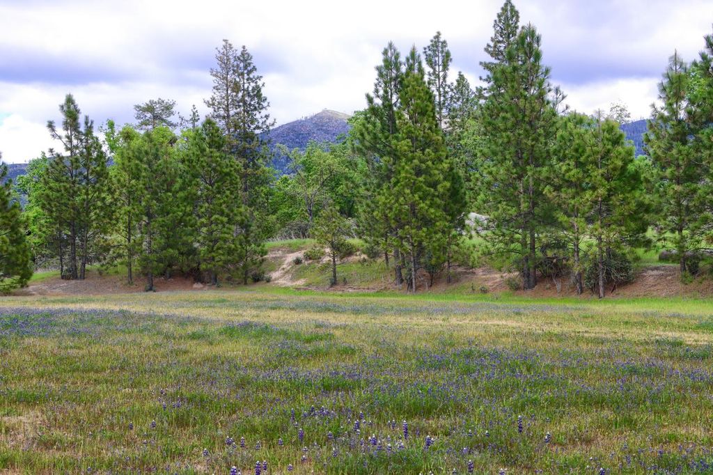 Image 63 of property listing at 5027 Fox Creek, Mariposa, CA 95338