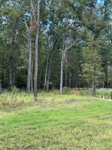 Lot 21 Angler Shores, Yantis, TX 75497