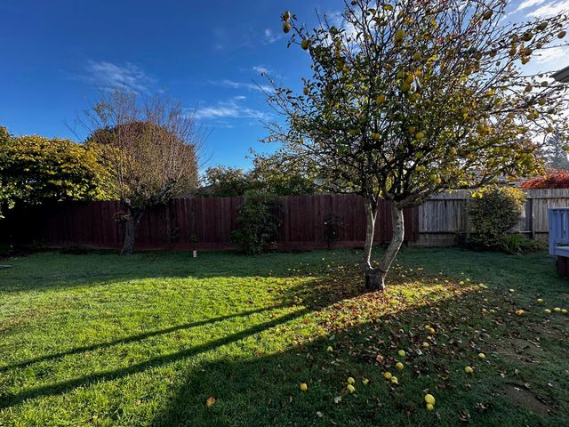 1125 14th Street, Eureka, CA 95501