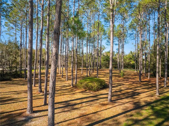 19083 SW 21ST PLACE, Newberry, FL 32669