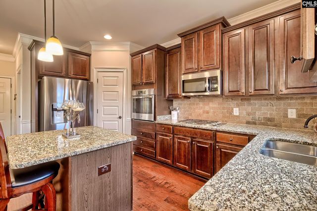 203 Rising Star Court, Lexington, SC 29072