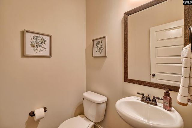 203 Rising Star Court, Lexington, SC 29072