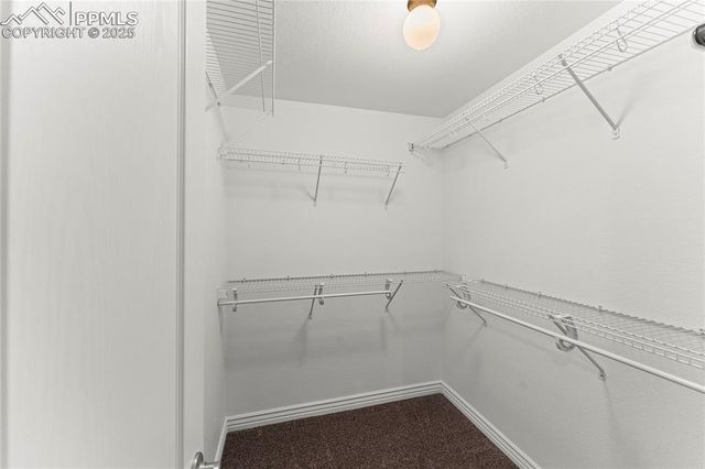 4446 Spiceglen Drive, Colorado Springs, CO 80906