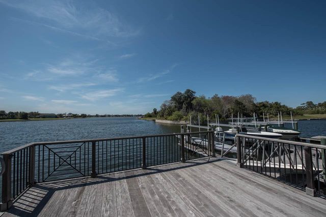 209 SELA COVE CIRCLE, Apollo Beach, FL 33572