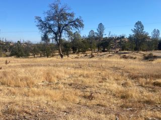 10789 Beehive Road, Redding, CA 96001