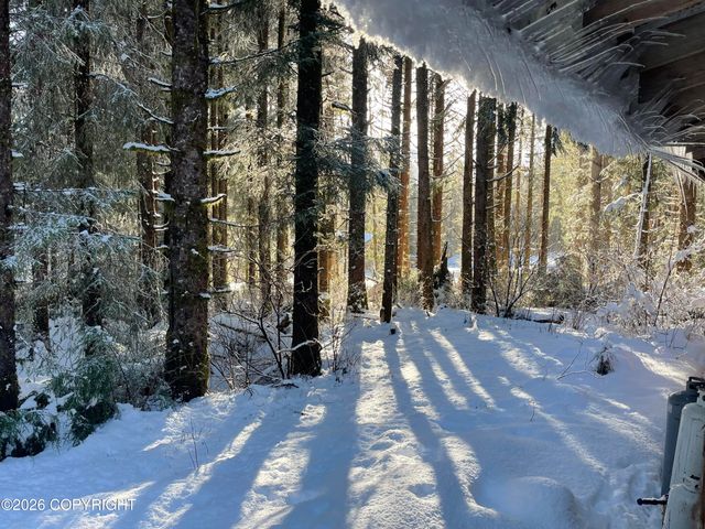 L5 Harris River Road, Hollis, AK 99925