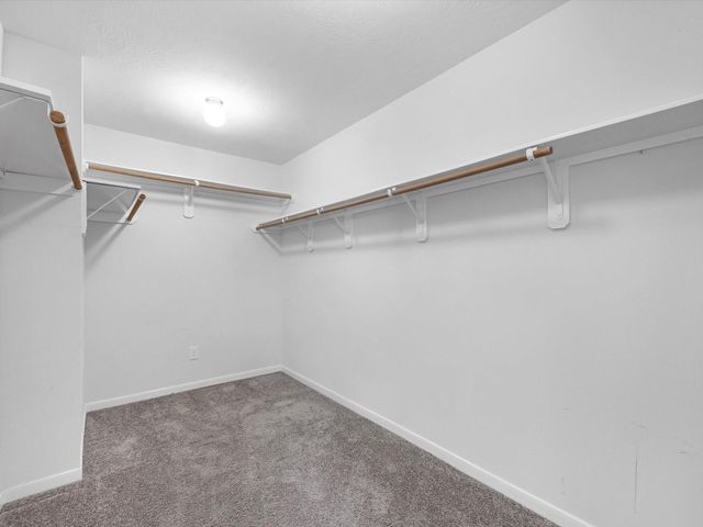 38 Palmero Way, Manvel, TX 77578