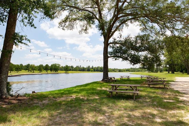 10699 Ruger Road, Willis, TX 77378