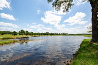 10699 Ruger Road, Willis, TX 77378