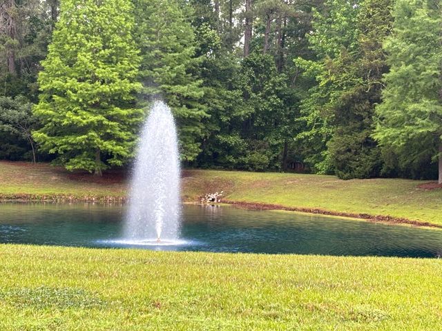 1206 Red Buckeye Court, Moncks Corner, SC 29461