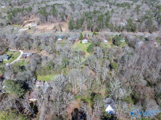 5461 State Highway 117, Mentone, AL 35984