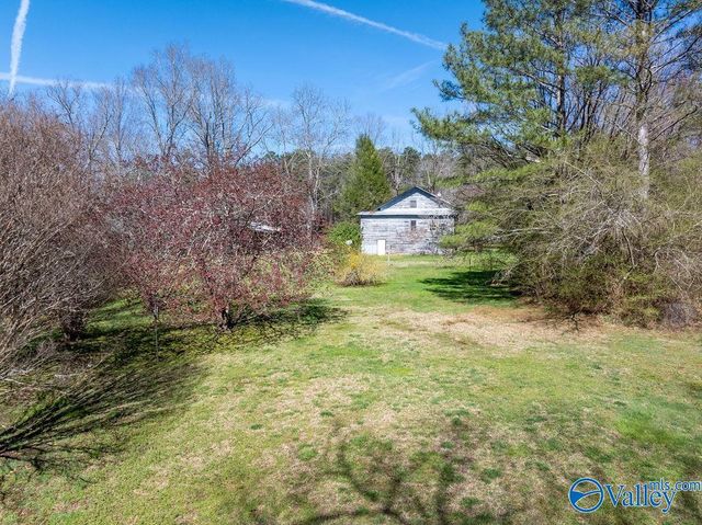 5461 State Highway 117, Mentone, AL 35984