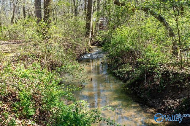 5461 State Highway 117, Mentone, AL 35984