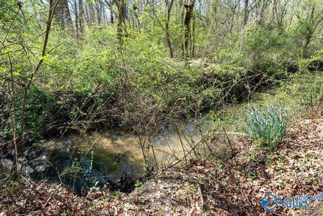 5461 State Highway 117, Mentone, AL 35984