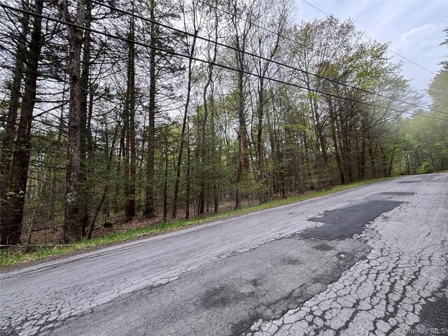 Braden Road, Mountain Dale, NY 12763
