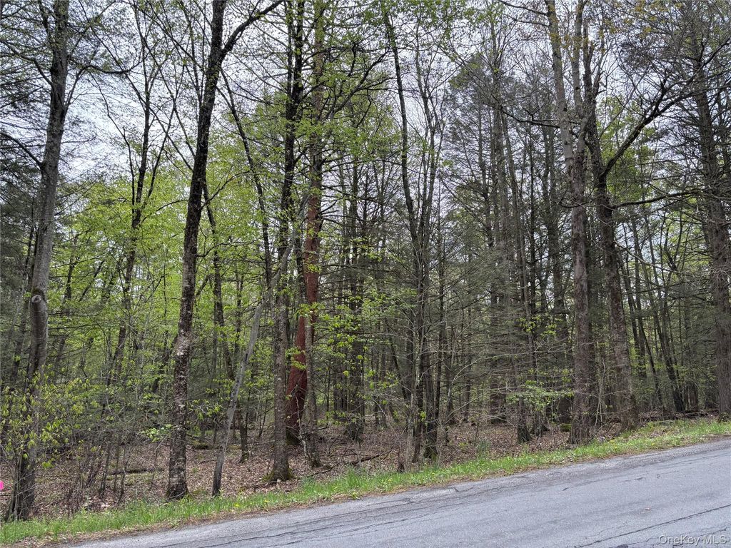 Braden Road, Mountain Dale, NY 12763