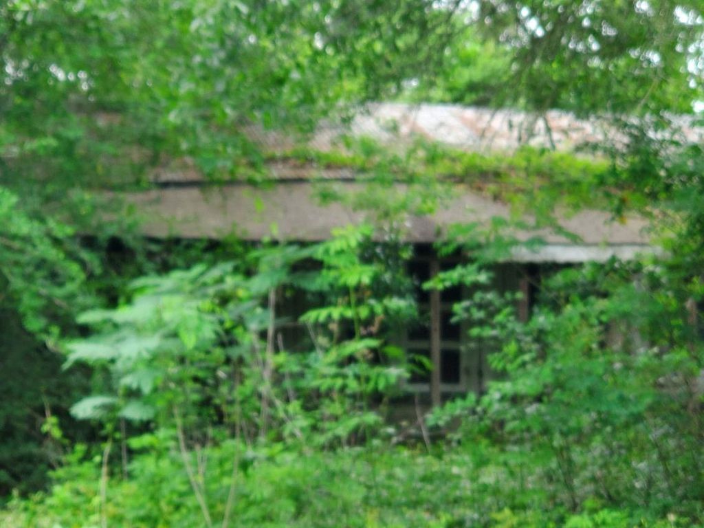 27821 Susie Lane, New Caney, TX 77357