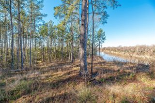898 Taylor Lake Road, Livingston, TX 77351