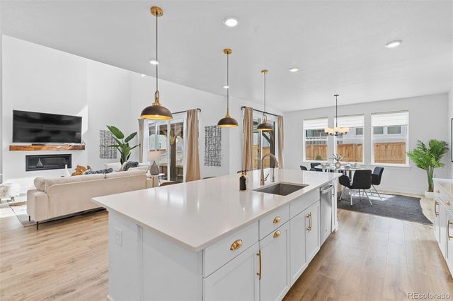 16596 Dry Camp Drive, Parker, CO 80134