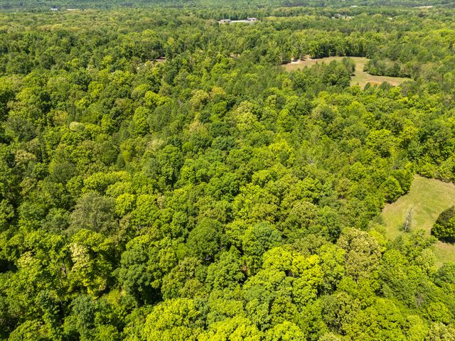 1431 Flatwood Rd, New Johnsonville, TN 37134